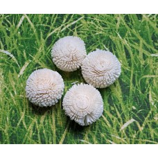 Sola Poof Ball, ca. 4 cm Durchmesser